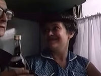  (1982)