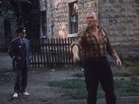   (1991)
