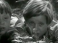    (1973)