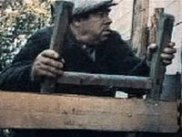    (1979)