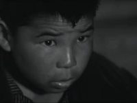    (1966)