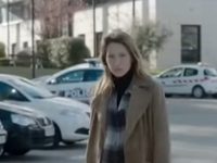  (2017)