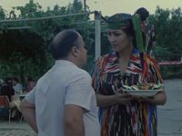  (1981)