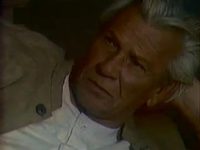    (1981)