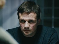   (2017)