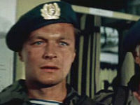  (1981)