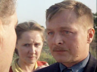   (1987)