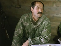   (1991)