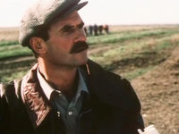    (1986)