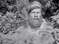 11  (1938)