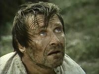 ׸   (1983)