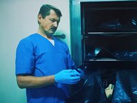 -2 (2024)