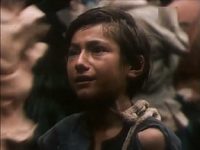      (1988)
