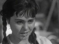  (1966)