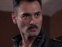   (2015-2016)