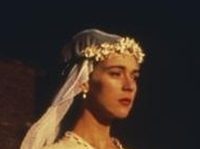   (1991)