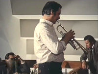     (1982)