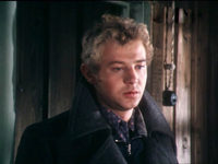   (1981)