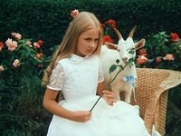       (1981)