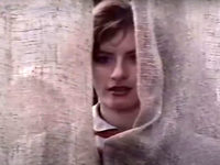    (1995)