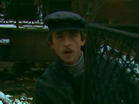  (1981)