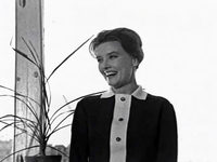   (1965)