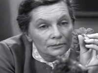   ... (1967)