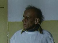   (IV)