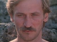    (1981)