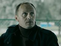  (2017)