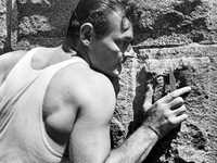     11 (1954)