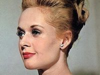  (1964)