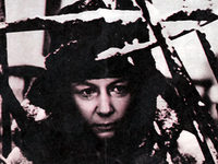  (1966)
