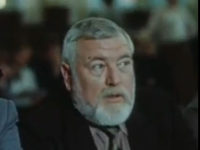  (1987)