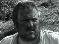    (1971)