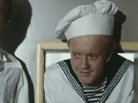   (1981)