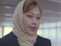   (1991)