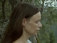 .   (2017)