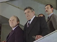  (1982)