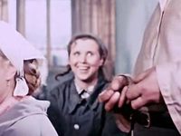   (1954)