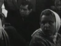   (1963)
