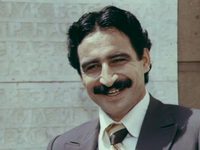    (1981)