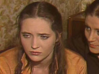    (1981)