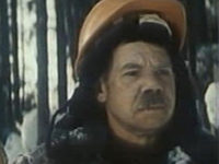  ˸ (1980)