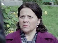  (2017)