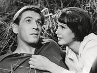    (1965)