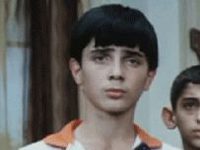  -   (1984)
