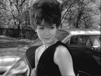   (1964)