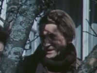   (1975)