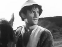    (1964)